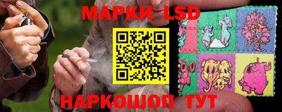 стафф Краснодар